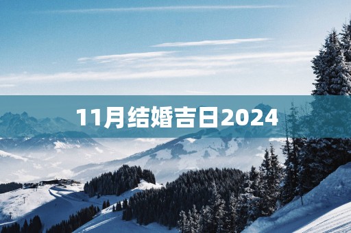 11月结婚吉日2025