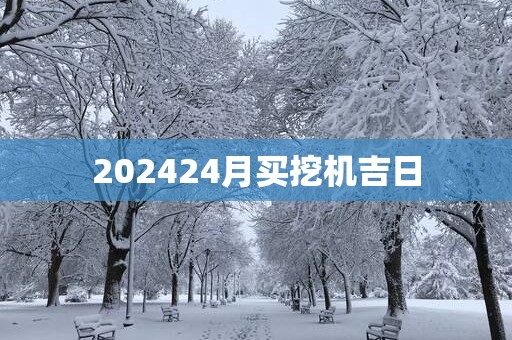 202524月买挖机吉日