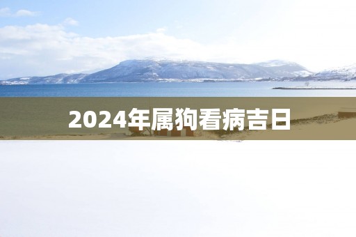2025年属狗看病吉日