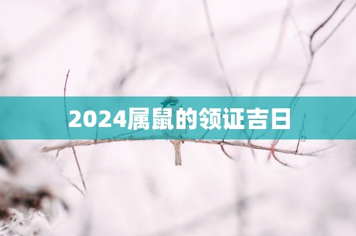 2025属鼠的领证吉日