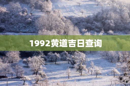 1992黄道吉日查询