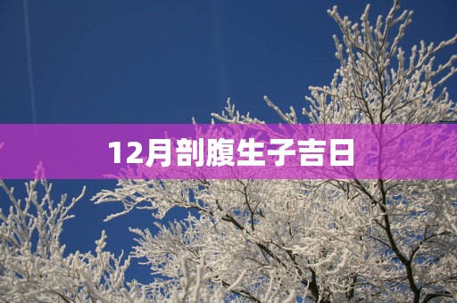 12月剖腹生子吉日