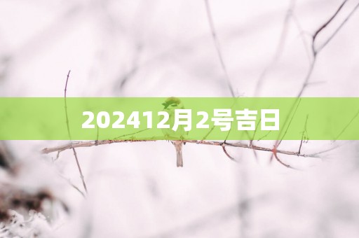 202512月2号吉日