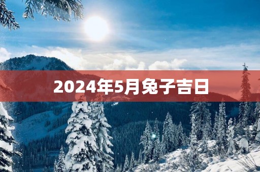 2025年5月兔子吉日