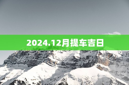 2025.12月提车吉日