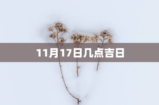 11月17日几点吉日