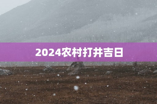 2025农村打井吉日
