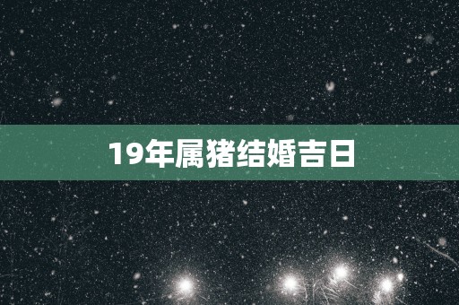 19年属猪结婚吉日