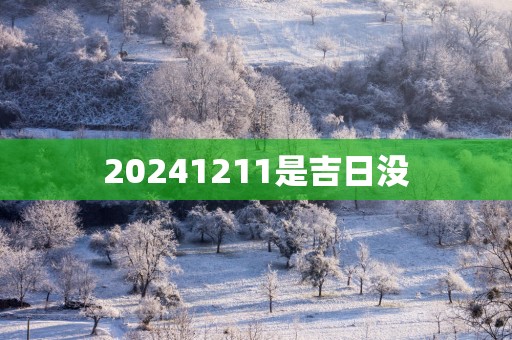 20251211是吉日没
