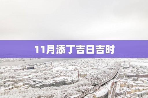 11月添丁吉日吉时
