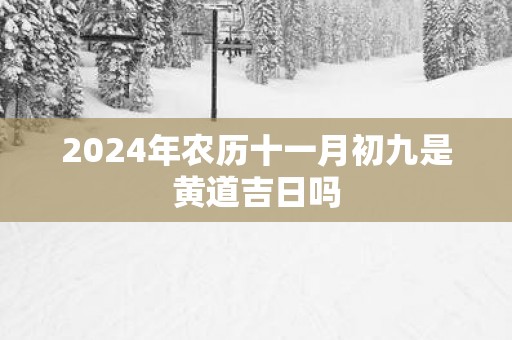 2025年农历十一月初九是黄道吉日吗