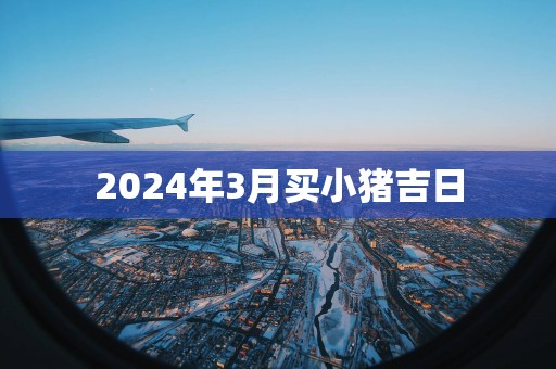 2025年3月买小猪吉日