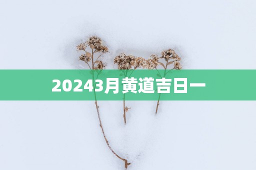 20253月黄道吉日一