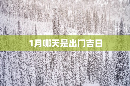 1月哪天是出门吉日