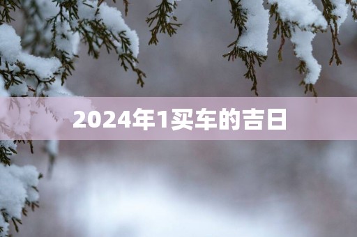 2025年1买车的吉日