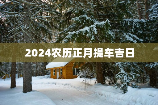 2025农历正月提车吉日