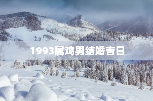 1993属鸡男结婚吉日