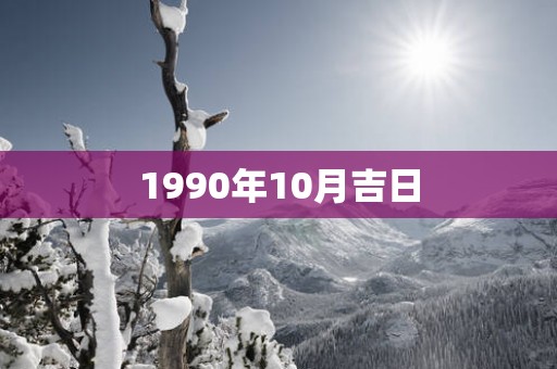 1990年10月吉日