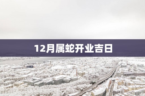 12月属蛇开业吉日