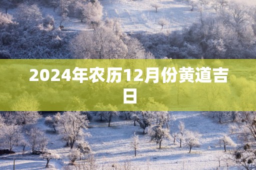 2025年农历12月份黄道吉日
