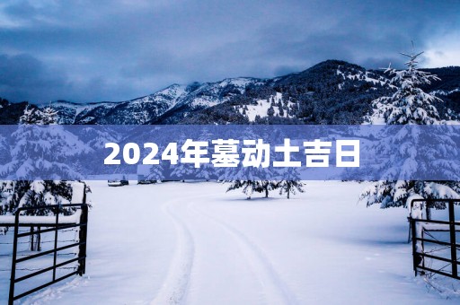 2025年墓动土吉日