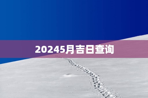 20255月吉日查询