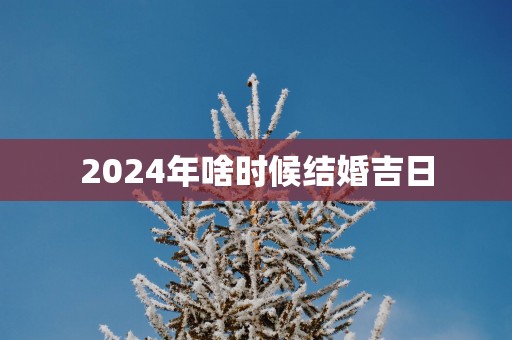 2025年啥时候结婚吉日