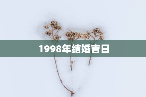 1998年结婚吉日