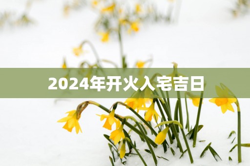 2025年开火入宅吉日