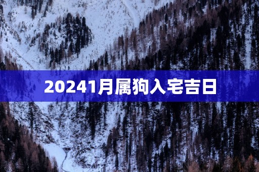 20251月属狗入宅吉日