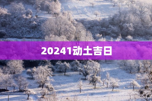 20251动土吉日