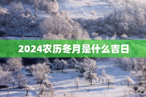 2025农历冬月是什么吉日