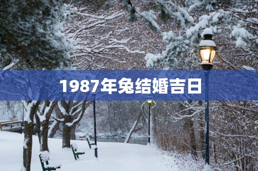 1987年兔结婚吉日