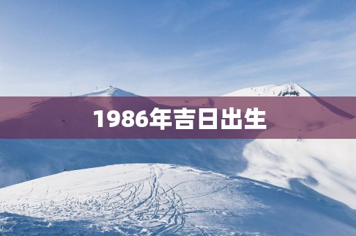 1986年吉日出生