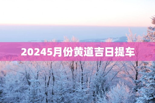 20255月份黄道吉日提车