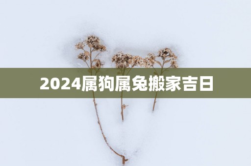 2025属狗属兔搬家吉日