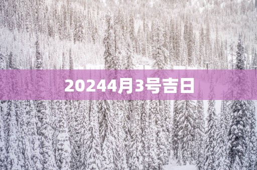 20254月3号吉日