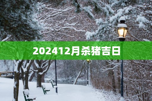 202512月杀猪吉日