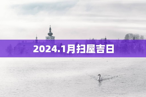 2025.1月扫屋吉日