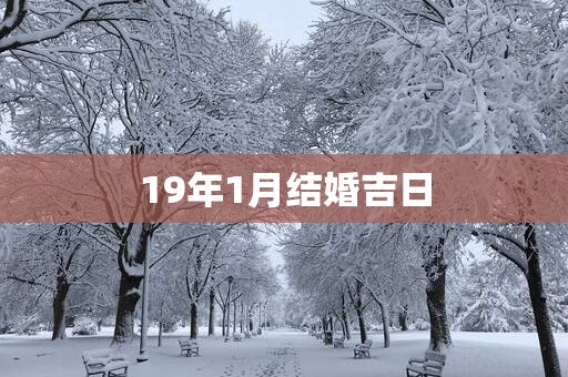 19年1月结婚吉日