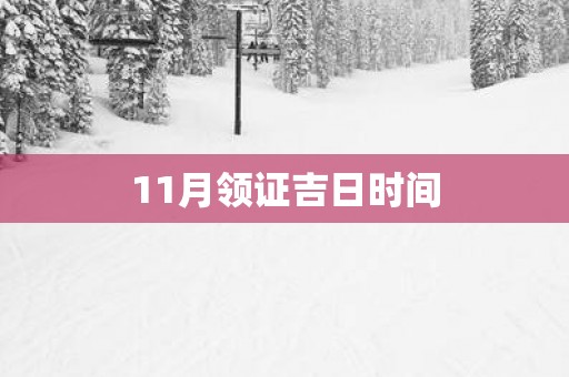 11月领证吉日时间