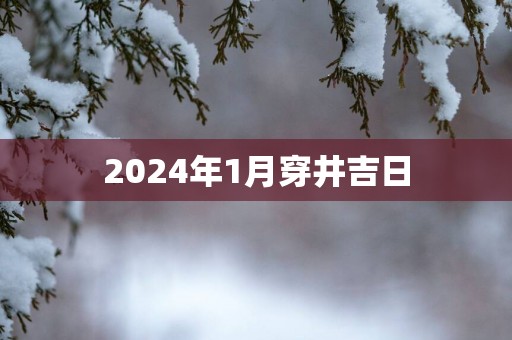 2025年1月穿井吉日