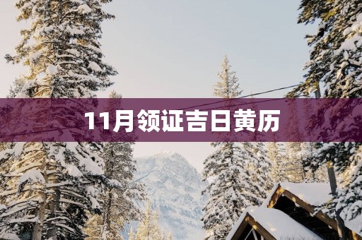11月领证吉日黄历