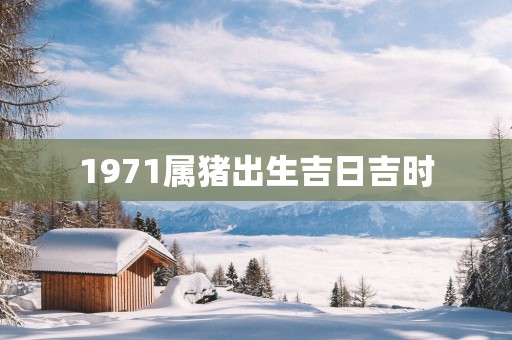1971属猪出生吉日吉时