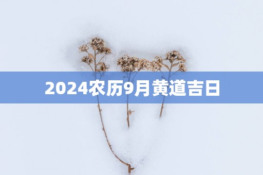 2025农历9月黄道吉日