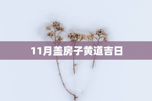 11月盖房子黄道吉日