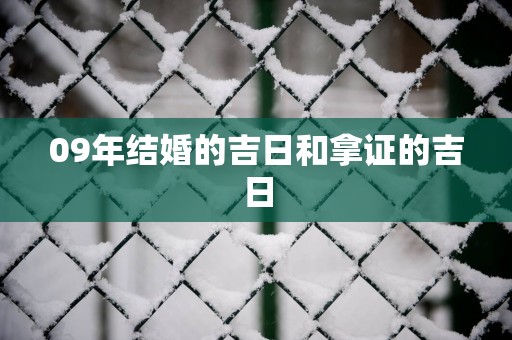 09年结婚的吉日和拿证的吉日 09年结婚的吉日和拿证的吉日