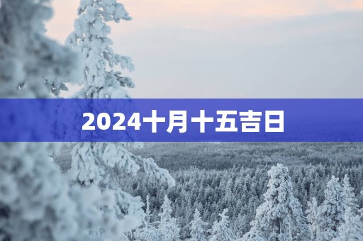2025十月十五吉日