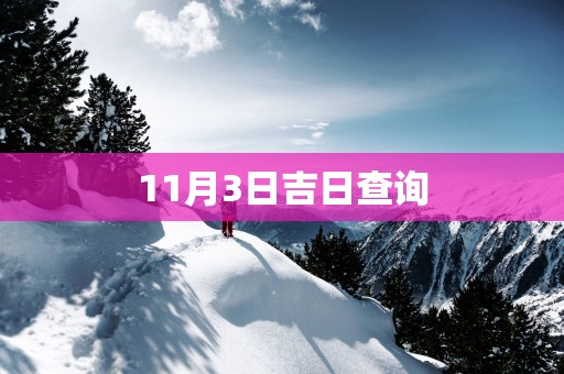 11月3日吉日查询