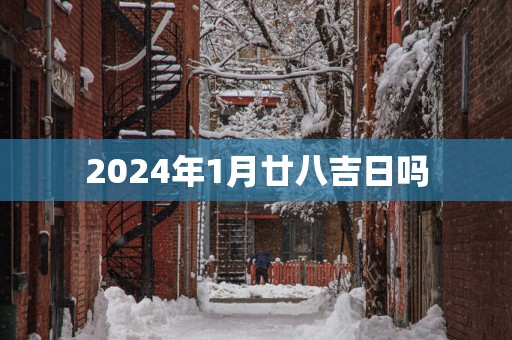 2025年1月廿八吉日吗
